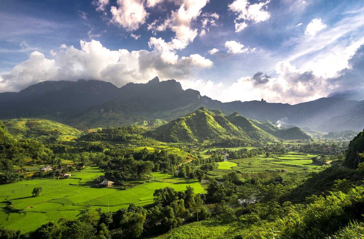 Green Field and Trees Under Cloudy Sky - Vietnam