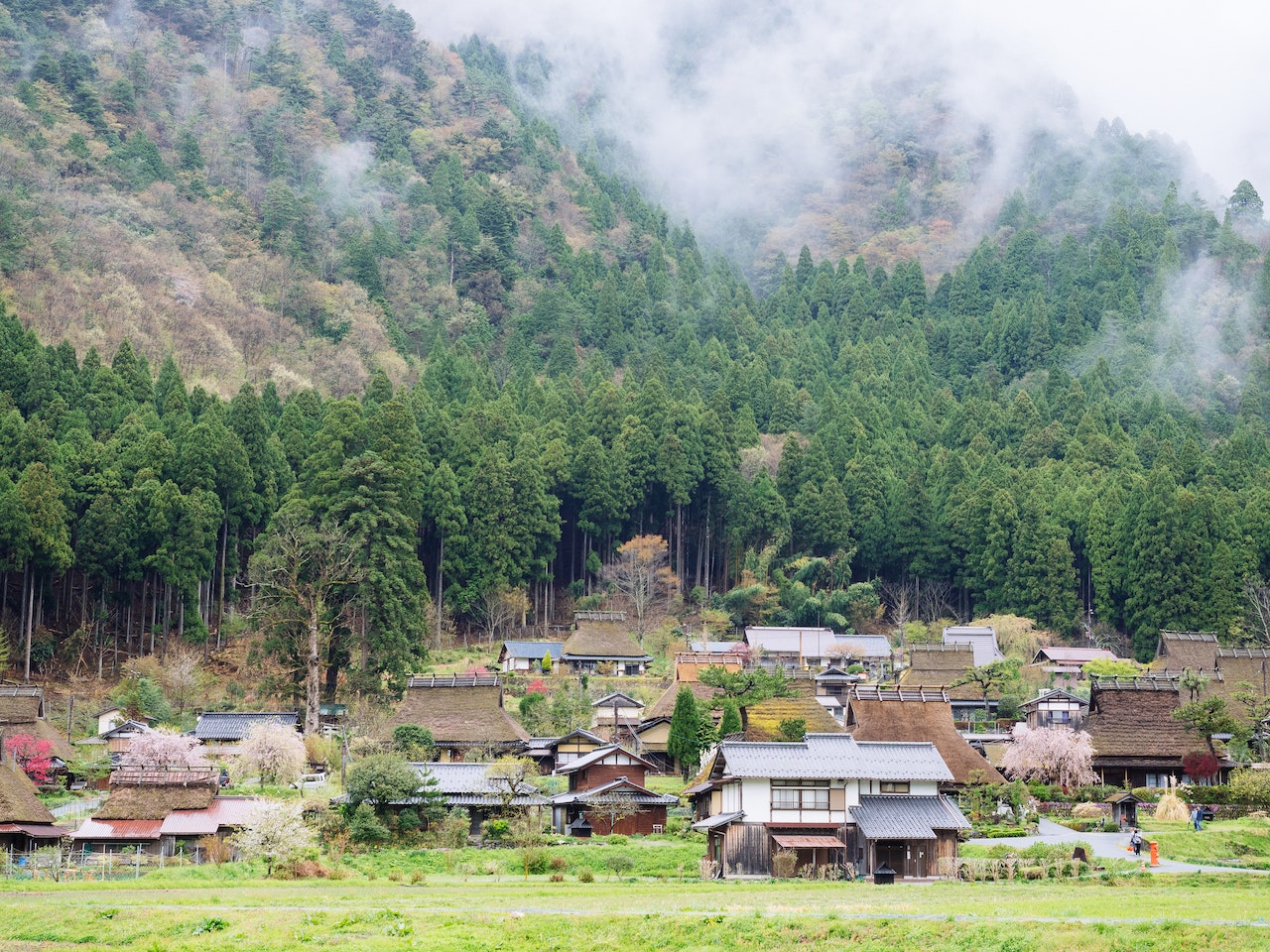 Houses Near Trees - Kyoto - Japan